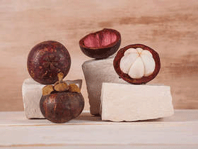 “肠道科学与艺术”科普插画巡展，精彩正在继续